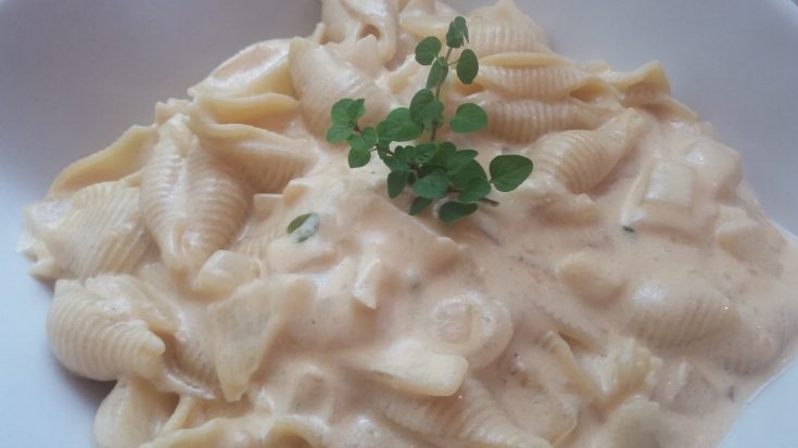 Plate of pasta with creamy white wine Alfredo sauce