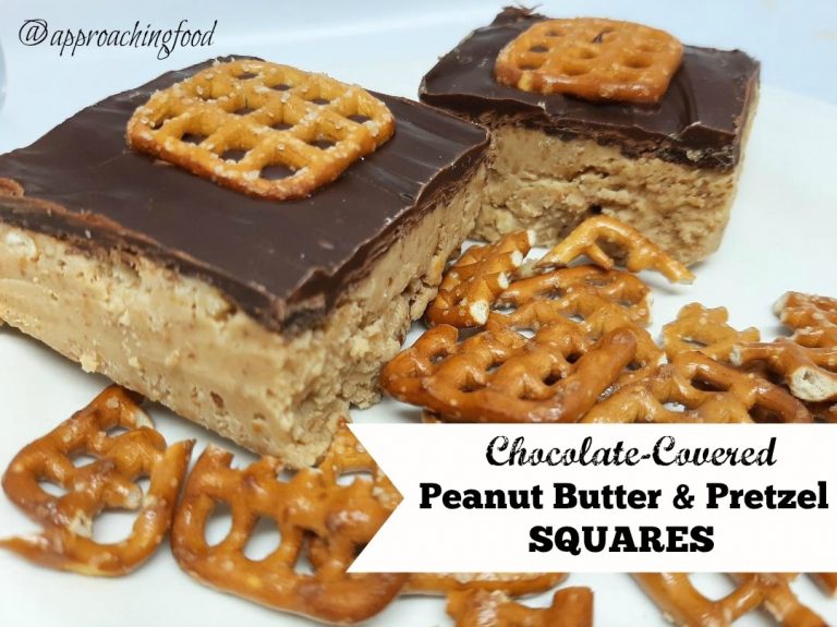 Chocolate-covered peanut butter and pretzel squares, plated with pretzels.