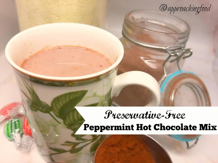 Easy Peppermint Hot Chocolate Mix